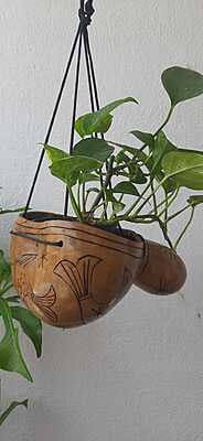 Tumba Gourd Shell Pot Holder