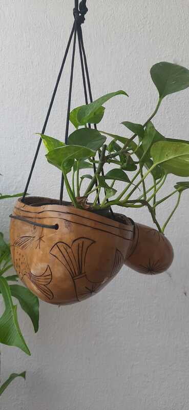 Tumba Gourd Shell Pot Holder