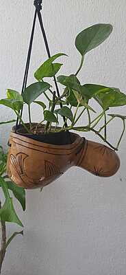 Tumba Gourd Shell Pot Holder