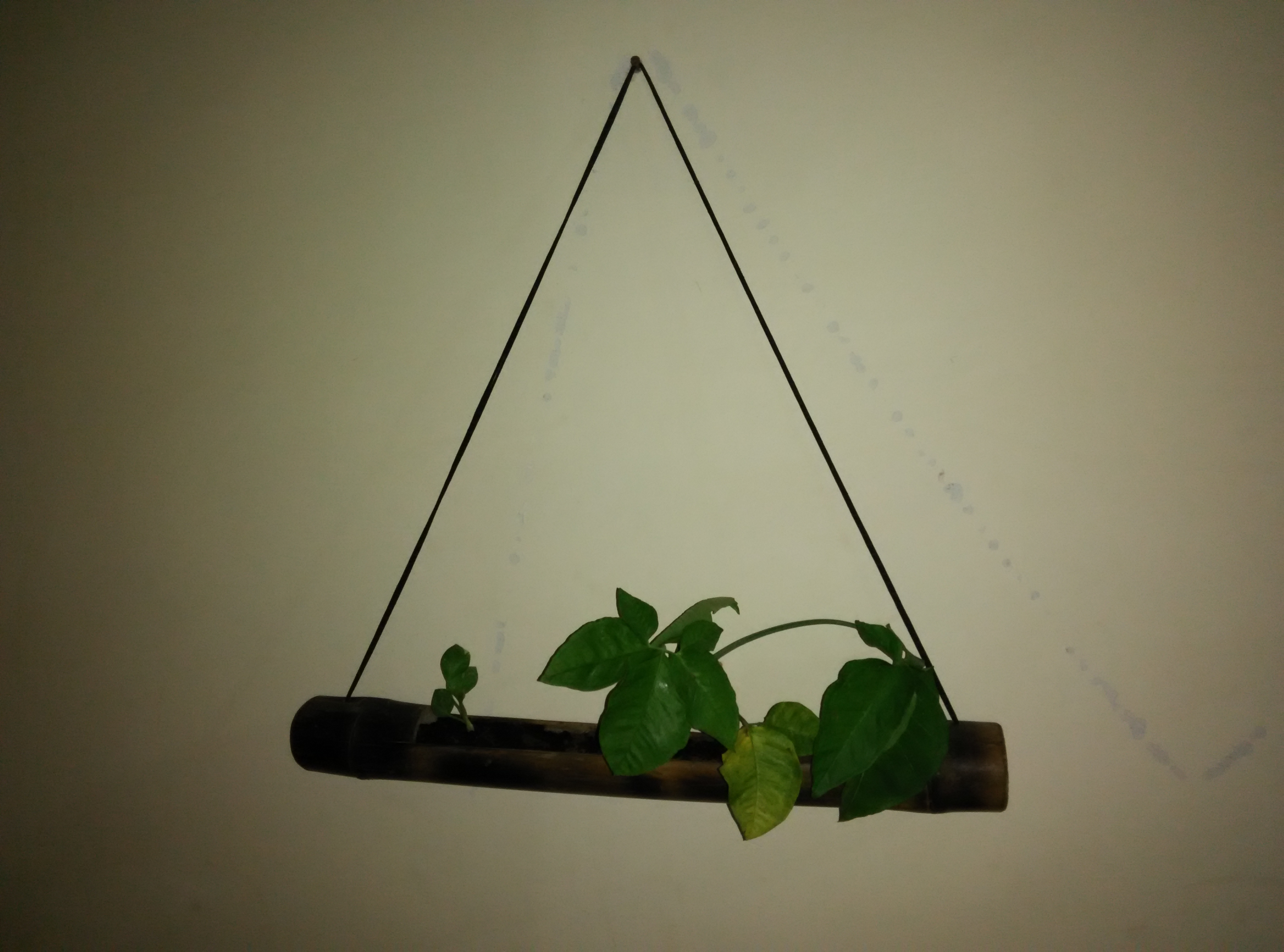 Planter